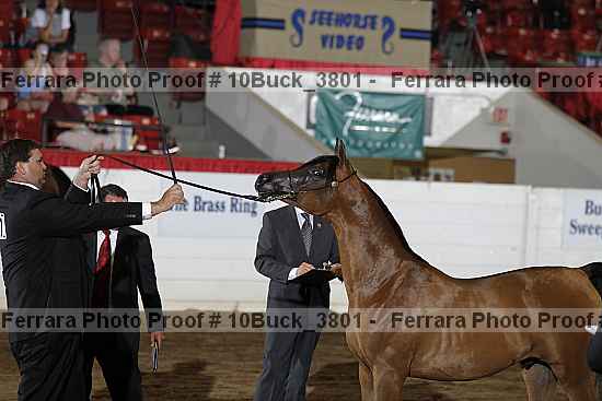 Proof 10buck_3801