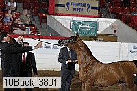 10buck_3801 proof