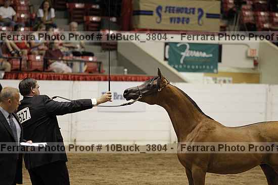 Proof 10buck_3804