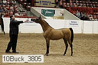 10buck_3805 proof