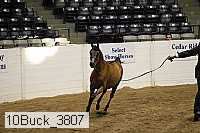 10buck_3807 proof