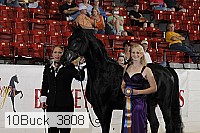 10buck_3808 proof