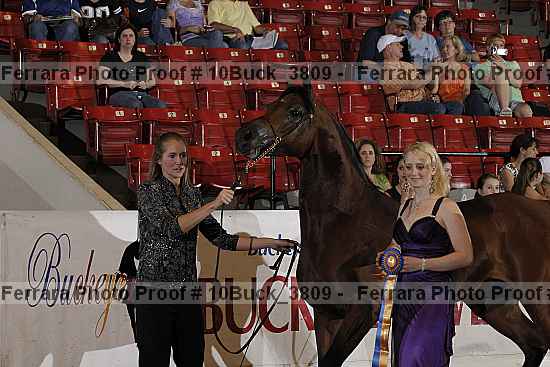 Proof 10buck_3809
