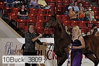10buck_3809 proof