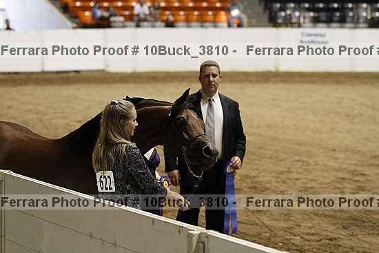 Proof 10buck_3810