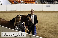 10buck_3810 proof