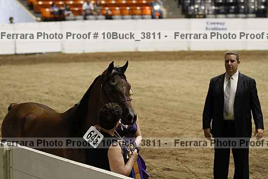 Proof 10buck_3811