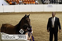 10buck_3811 proof