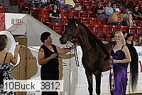 10buck_3812 proof