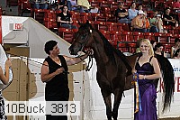 10buck_3813 proof
