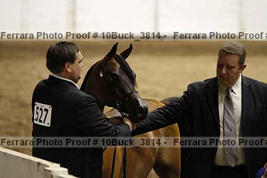 Proof 10buck_3814