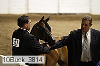 10buck_3814 proof