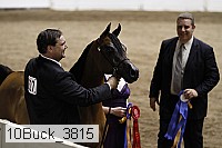 10buck_3815 proof