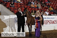 10buck_3816 proof