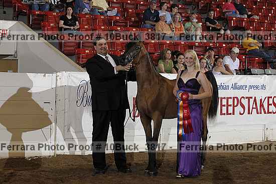 Proof 10buck_3817