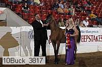 10buck_3817 proof