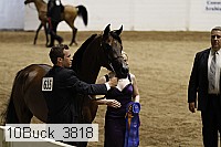 10buck_3818 proof