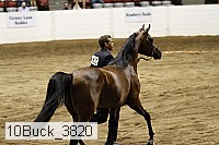 10buck_3820 proof
