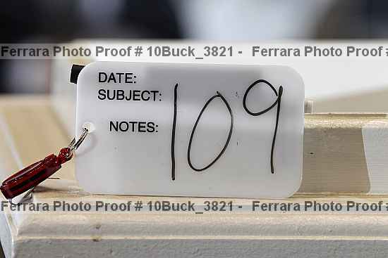 Proof 10buck_3821