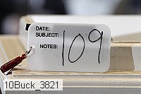 10buck_3821 proof