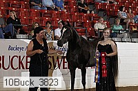 10buck_3823 proof