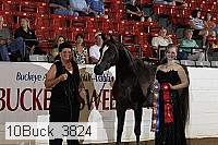 10buck_3824 proof
