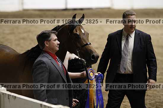 Proof 10buck_3825