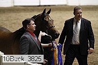 10buck_3825 proof