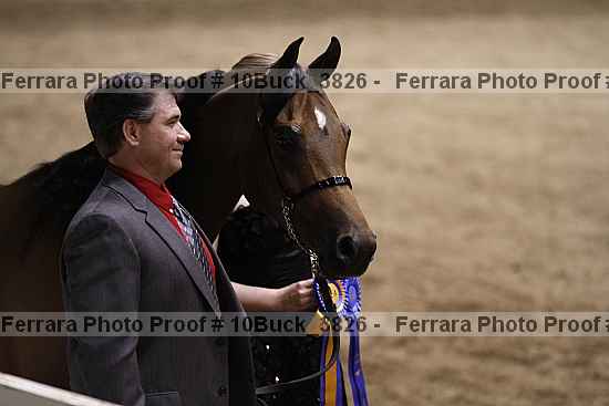 Proof 10buck_3826