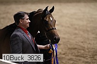10buck_3826 proof