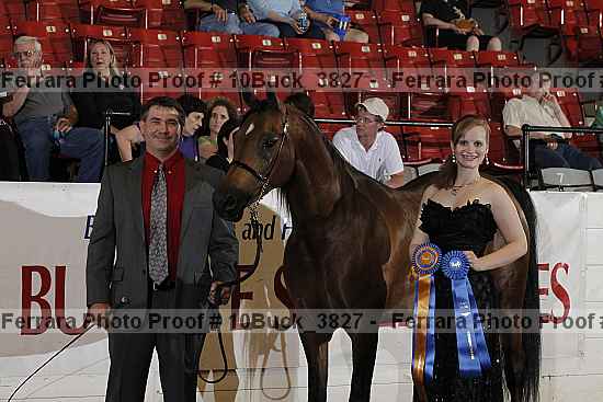 Proof 10buck_3827