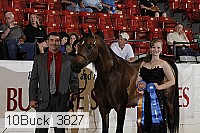 10buck_3827 proof