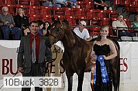 10buck_3828 proof