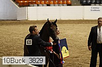 10buck_3829 proof
