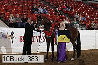 10buck_3831 proof