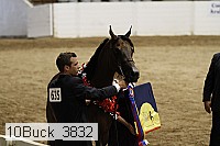 10buck_3832 proof