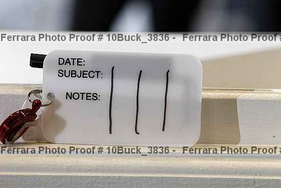 Proof 10buck_3836