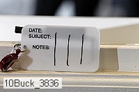 10buck_3836 proof