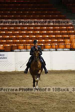Proof 10buck_3837