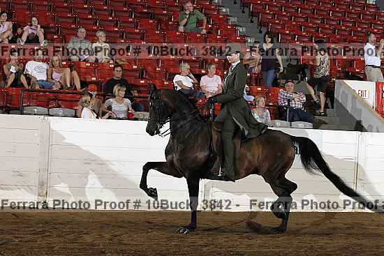 Proof 10buck_3842