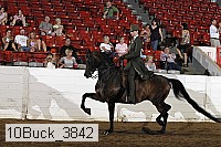 10buck_3842 proof