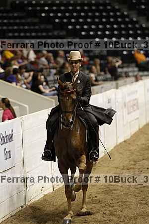 Proof 10buck_3843
