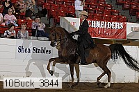 10buck_3844 proof