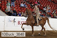 10buck_3848 proof