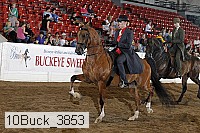 10buck_3853 proof