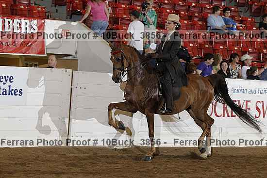 Proof 10buck_3856