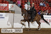 10buck_3856 proof