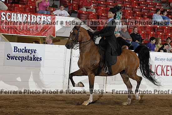 Proof 10buck_3858