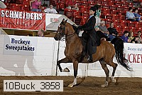10buck_3858 proof