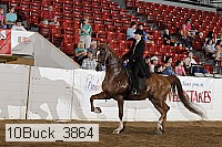 10buck_3864 proof